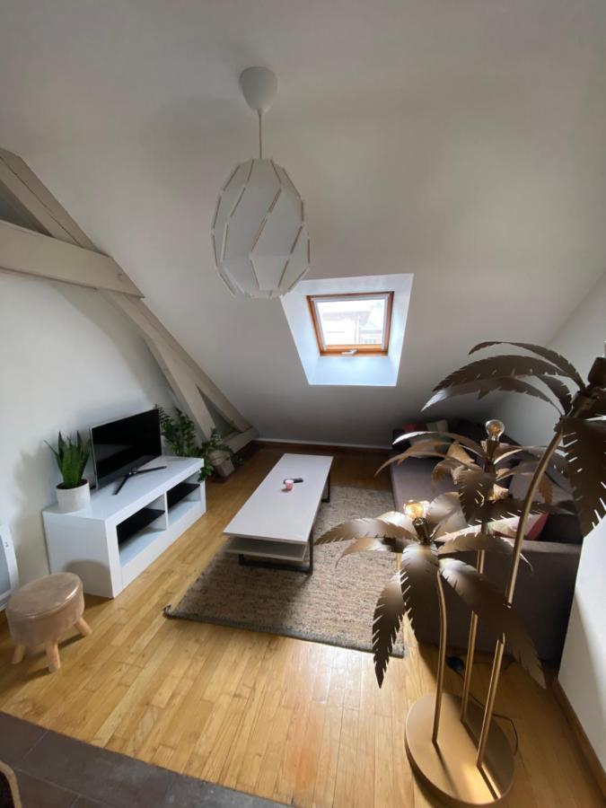 Appartement Hyper Centre Cathedrale Avec Parking Gratuit Амиен Екстериор снимка